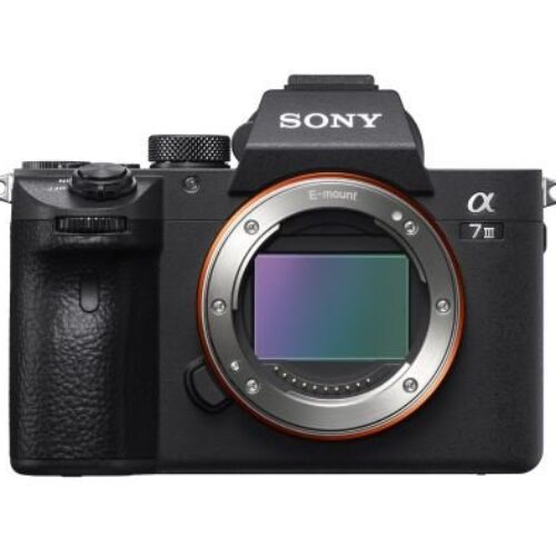 Solo cuerpo de cámara sin espejo Sony Alpha A7 III